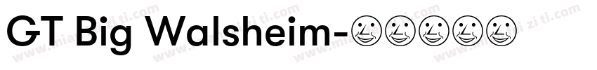 GT Big Walsheim字体转换